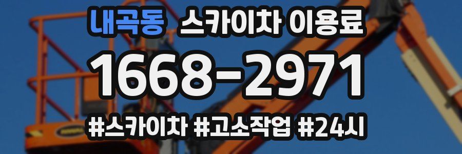 내곡동 스카이차 이용료