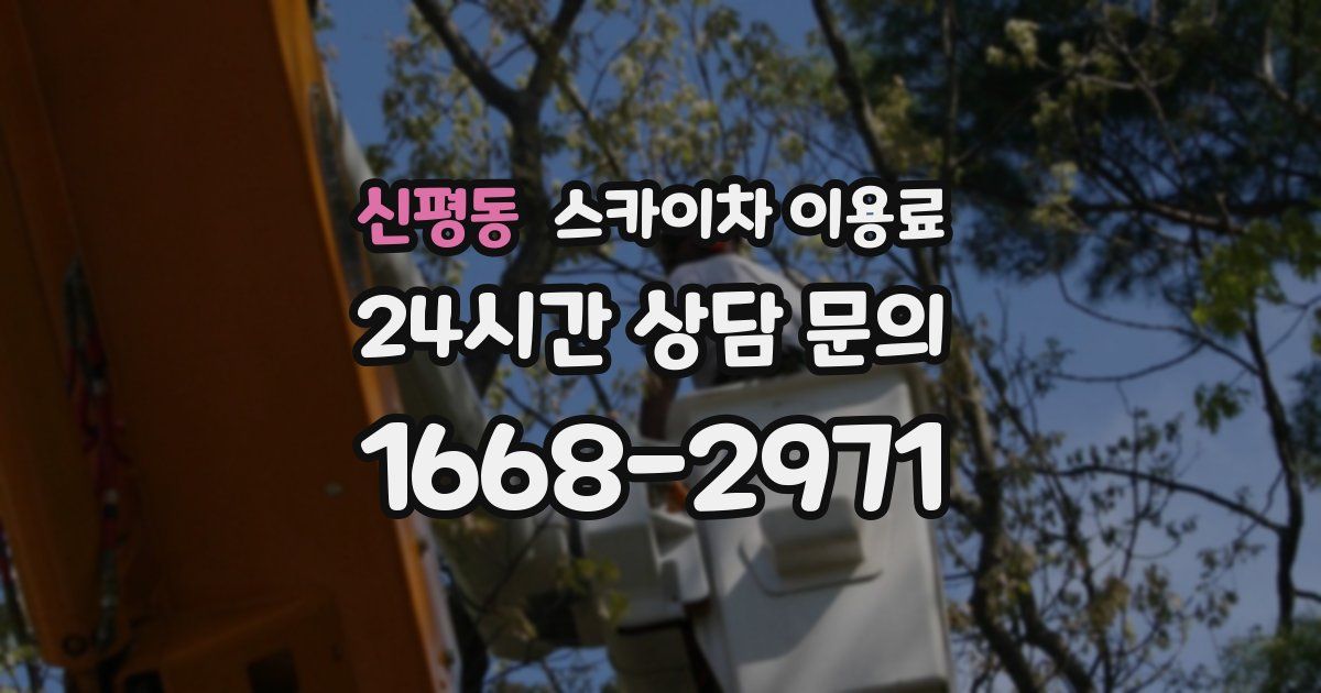 신평동 스카이차 이용료