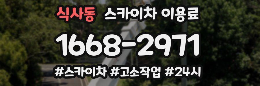 식사동 스카이차 이용료