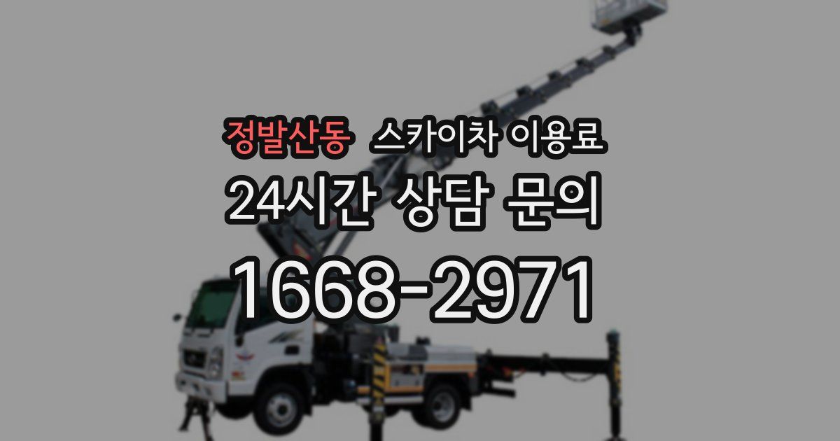 정발산동 스카이차 이용료