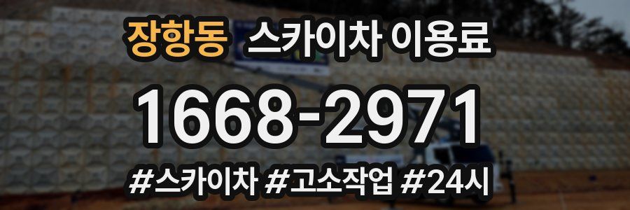 장항동 스카이차 이용료