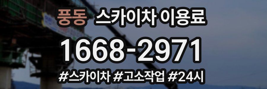 풍동 스카이차 이용료