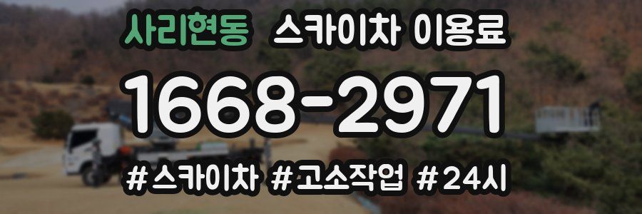 사리현동 스카이차 이용료
