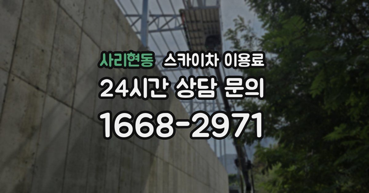 사리현동 스카이차 이용료