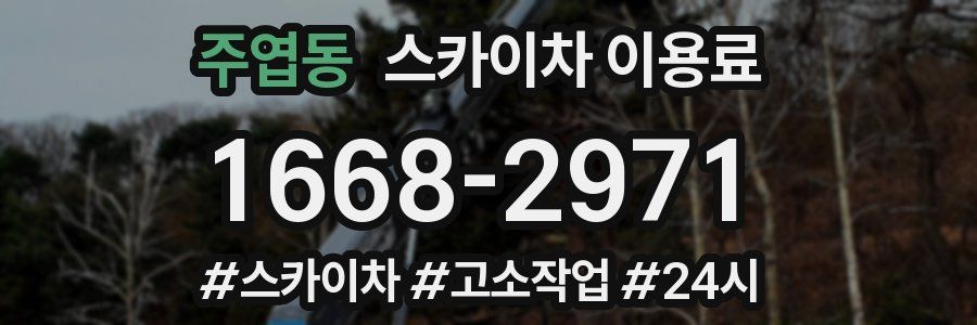 주엽동 스카이차 이용료