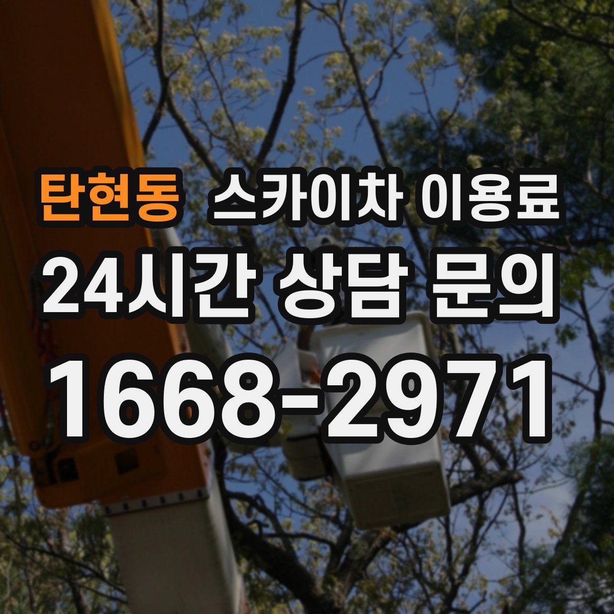 탄현동 스카이차 이용료