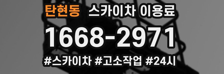 탄현동 스카이차 이용료