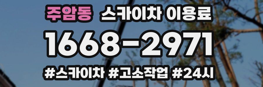 주암동 스카이차 이용료