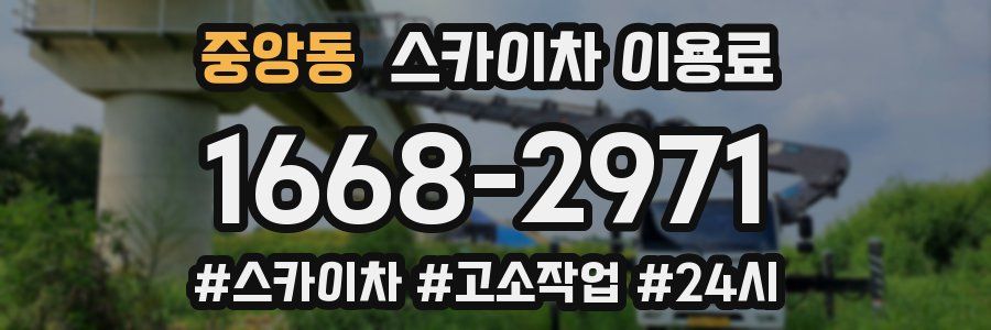 중앙동 스카이차 이용료