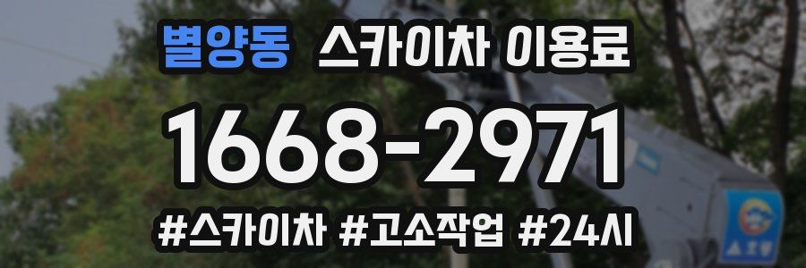 별양동 스카이차 이용료