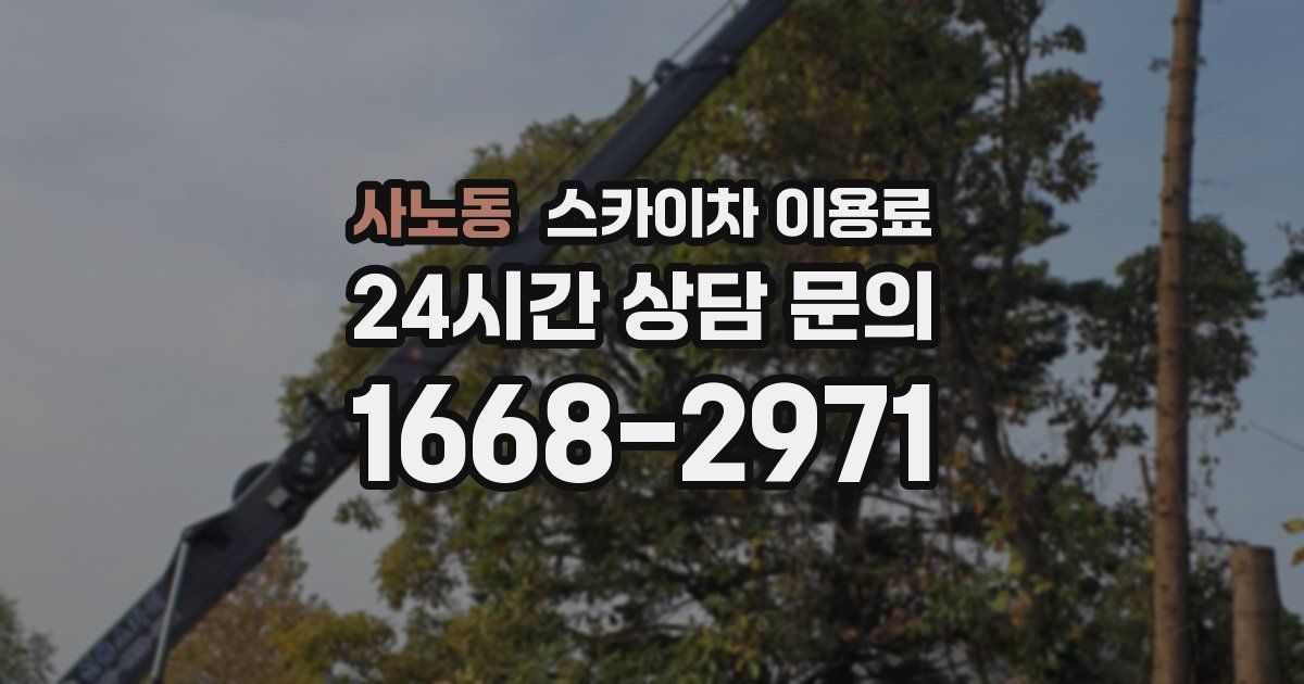 사노동 스카이차 이용료