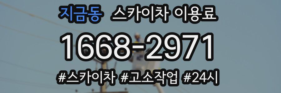 지금동 스카이차 이용료