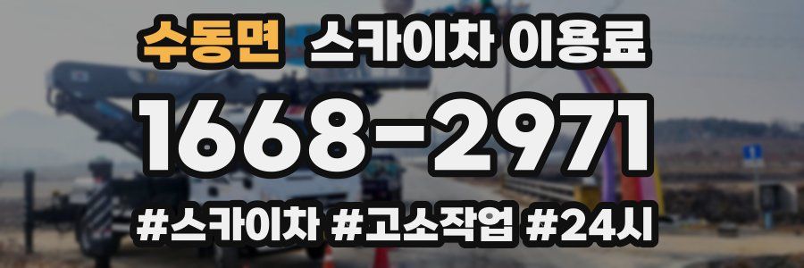수동면 스카이차 이용료