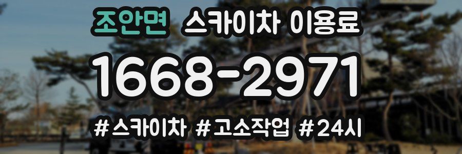 조안면 스카이차 이용료