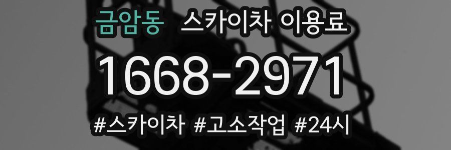 금암동 스카이차 이용료