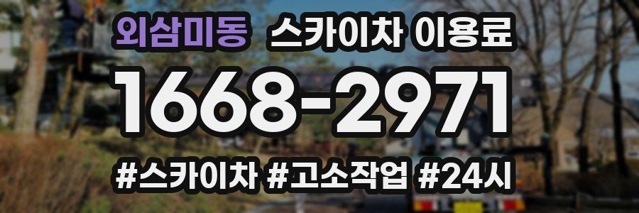 외삼미동 스카이차 이용료