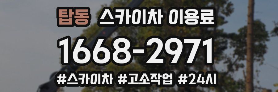 탑동 스카이차 이용료