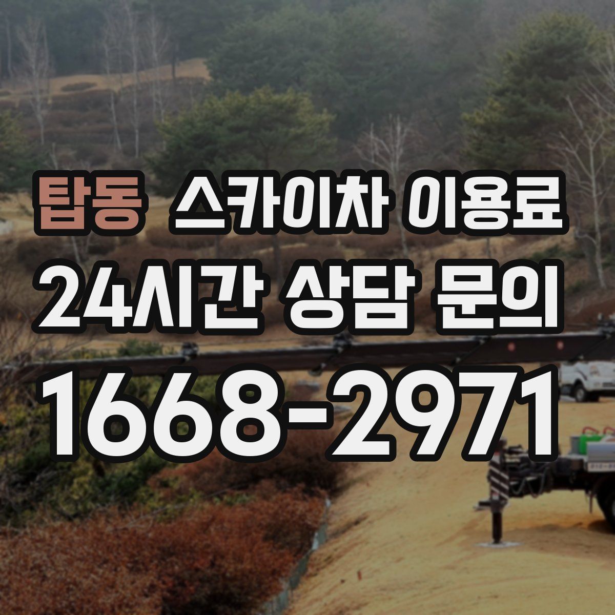탑동 스카이차 이용료