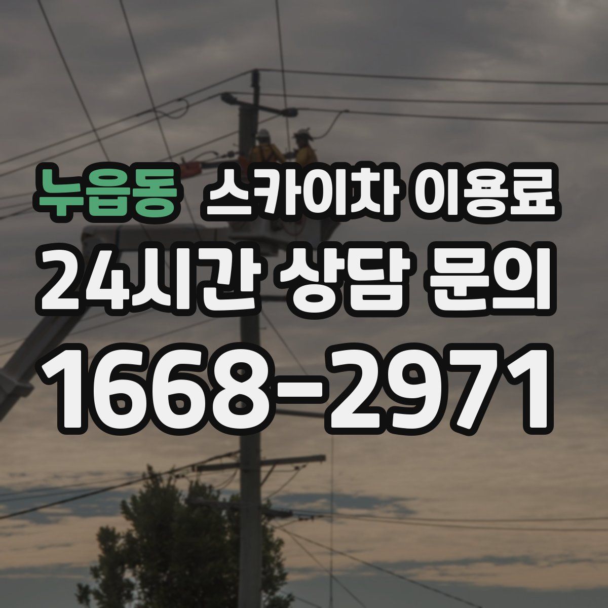 누읍동 스카이차 이용료