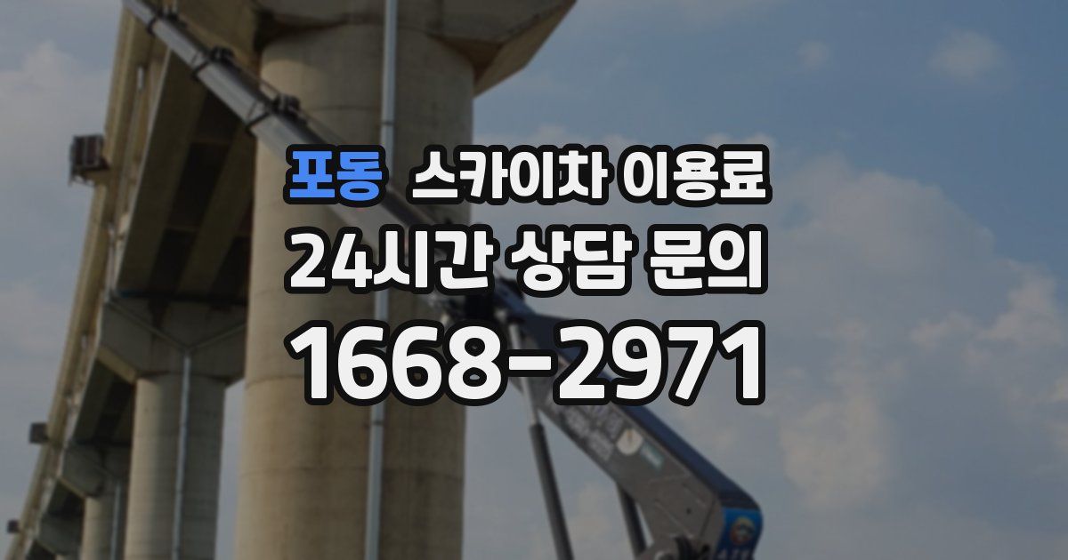 포동 스카이차 이용료