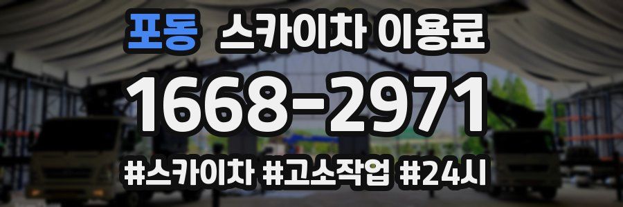 포동 스카이차 이용료