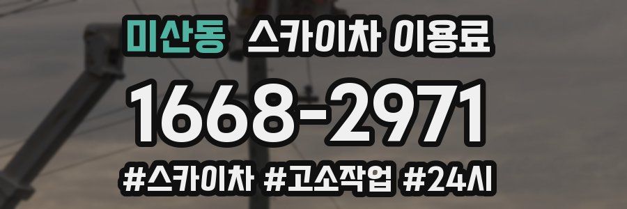 미산동 스카이차 이용료
