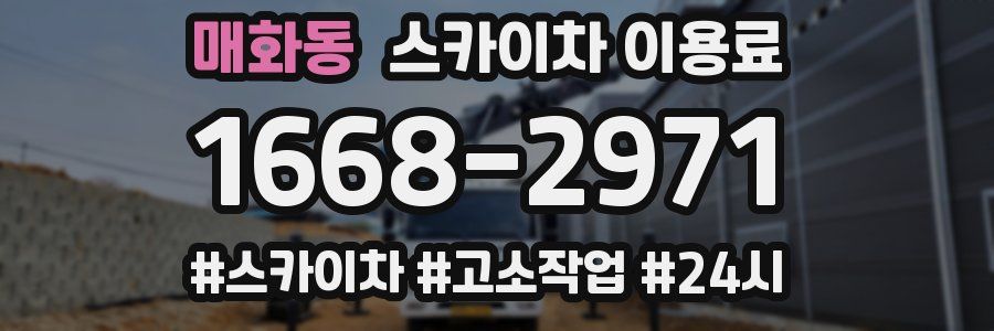 매화동 스카이차 이용료