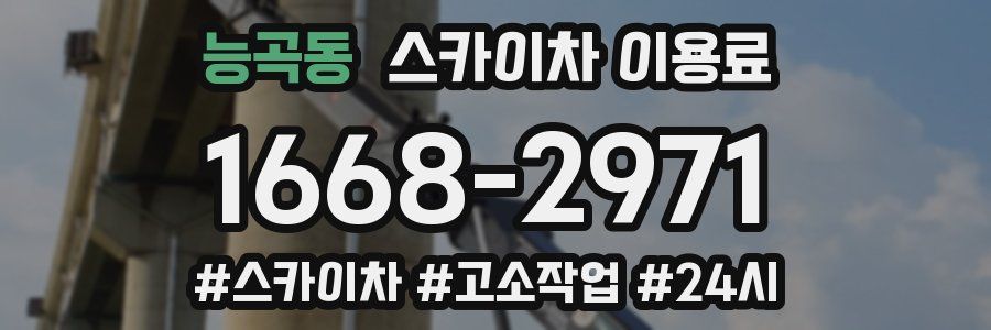 능곡동 스카이차 이용료