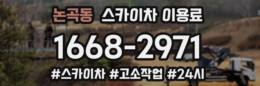 논곡동 스카이차 이용료