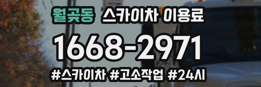 월곶동 스카이차 이용료
