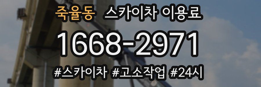 죽율동 스카이차 이용료