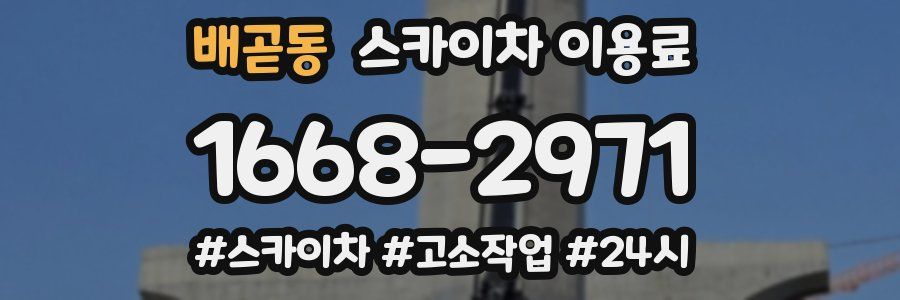 배곧동 스카이차 이용료