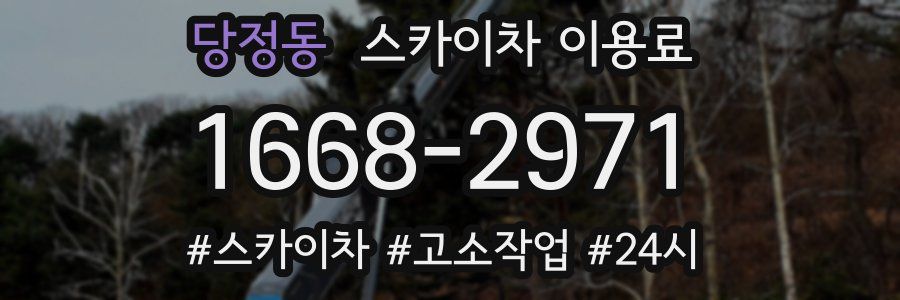 당정동 스카이차 이용료