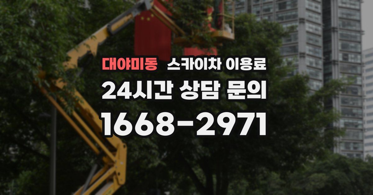 대야미동 스카이차 이용료