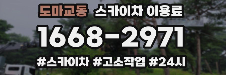 도마교동 스카이차 이용료
