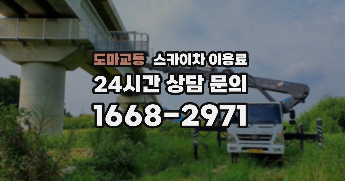 도마교동 스카이차 이용료