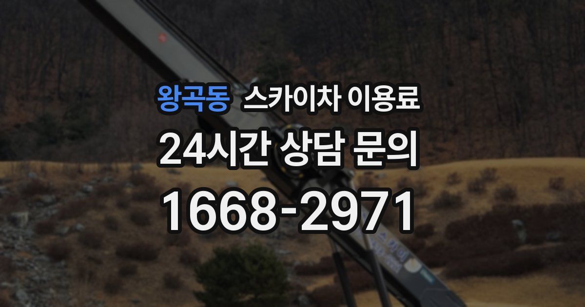 왕곡동 스카이차 이용료