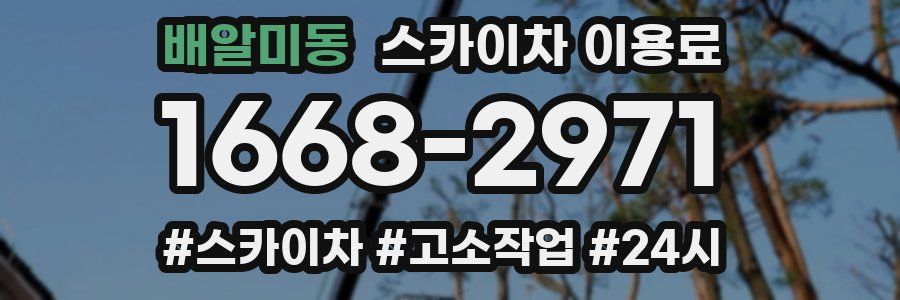 배알미동 스카이차 이용료