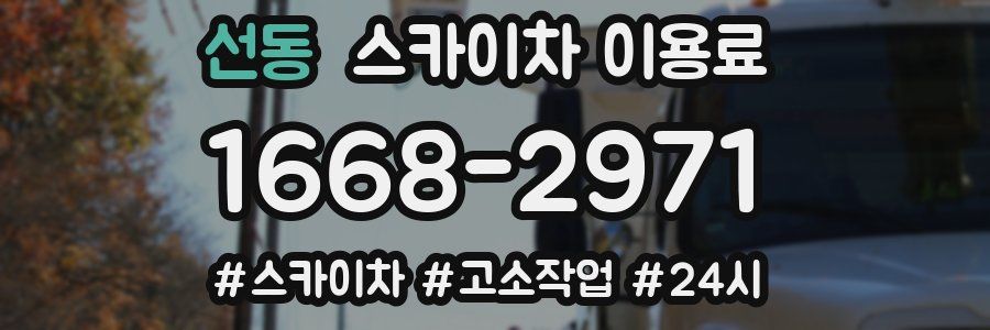 선동 스카이차 이용료