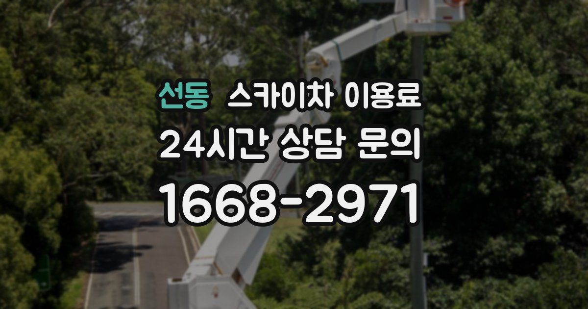 선동 스카이차 이용료