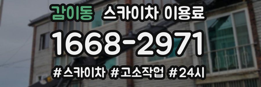 감이동 스카이차 이용료