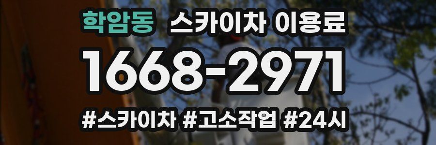 학암동 스카이차 이용료