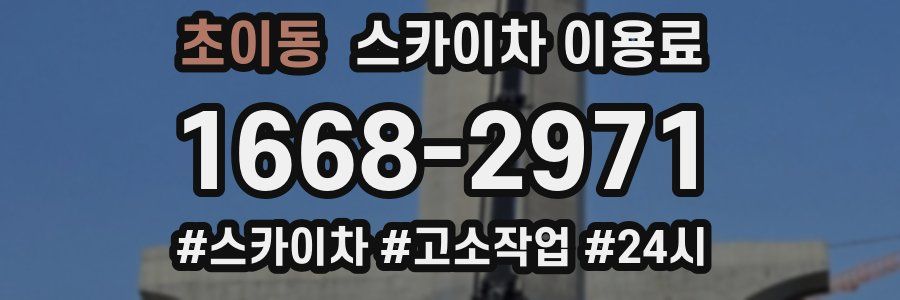초이동 스카이차 이용료
