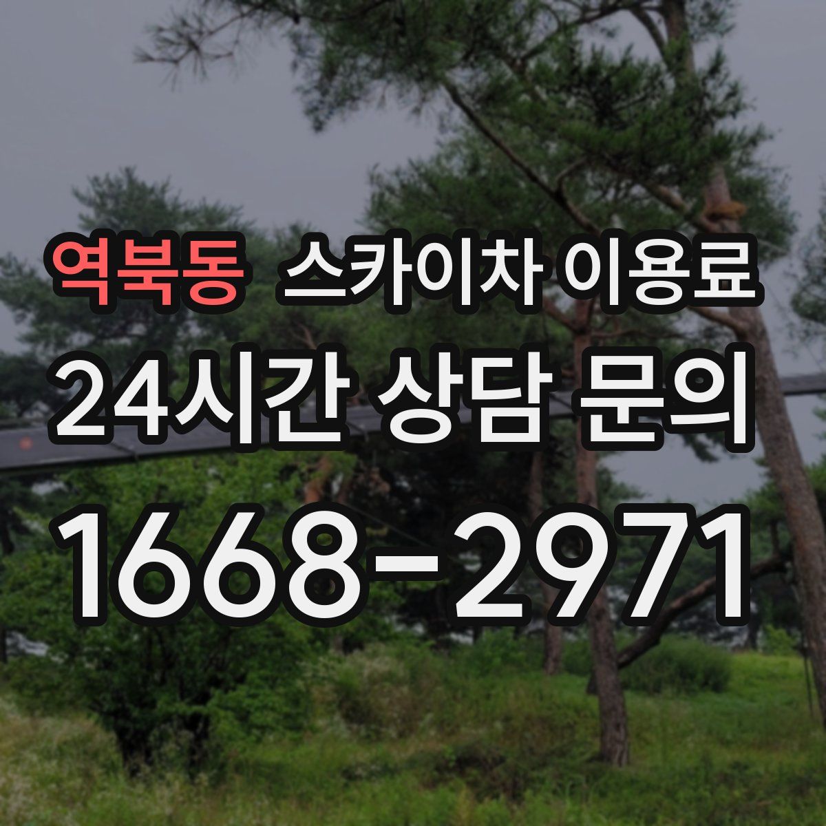 역북동 스카이차 이용료