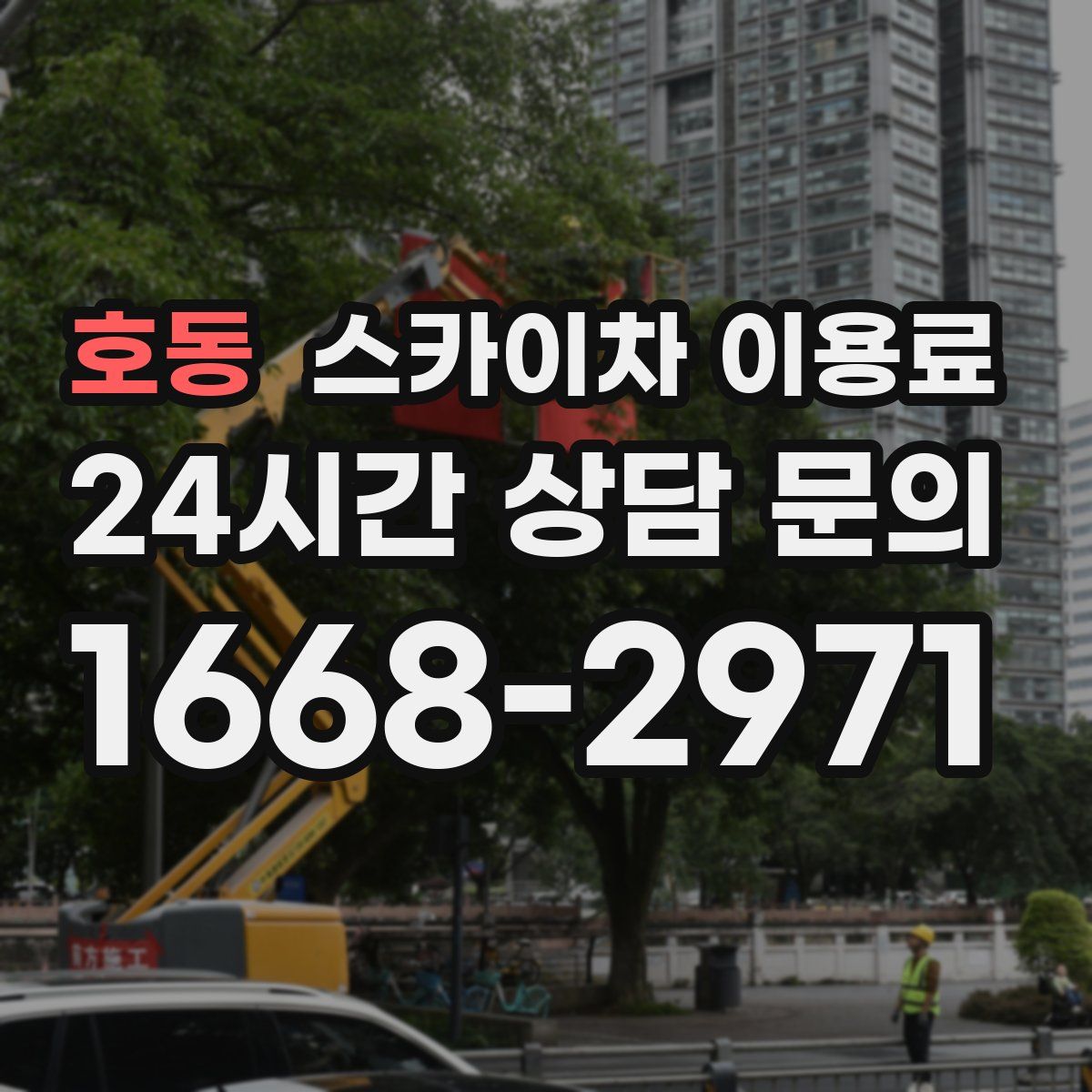 호동 스카이차 이용료
