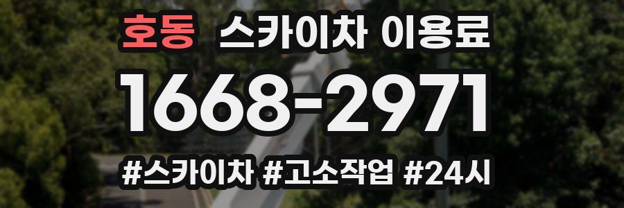 호동 스카이차 이용료