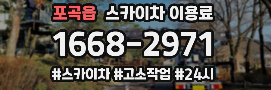 포곡읍 스카이차 이용료