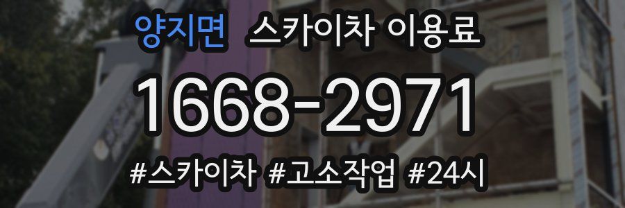 양지면 스카이차 이용료