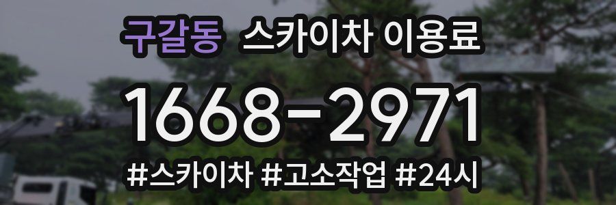 구갈동 스카이차 이용료