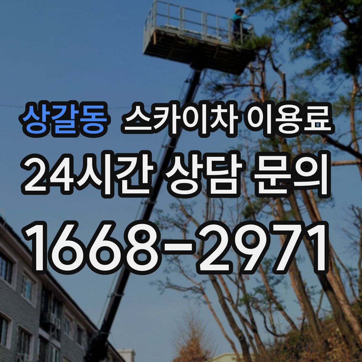 상갈동 스카이차 이용료